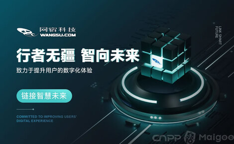 网宿科技 赋能未来网络的网络安全与边缘计算引领者